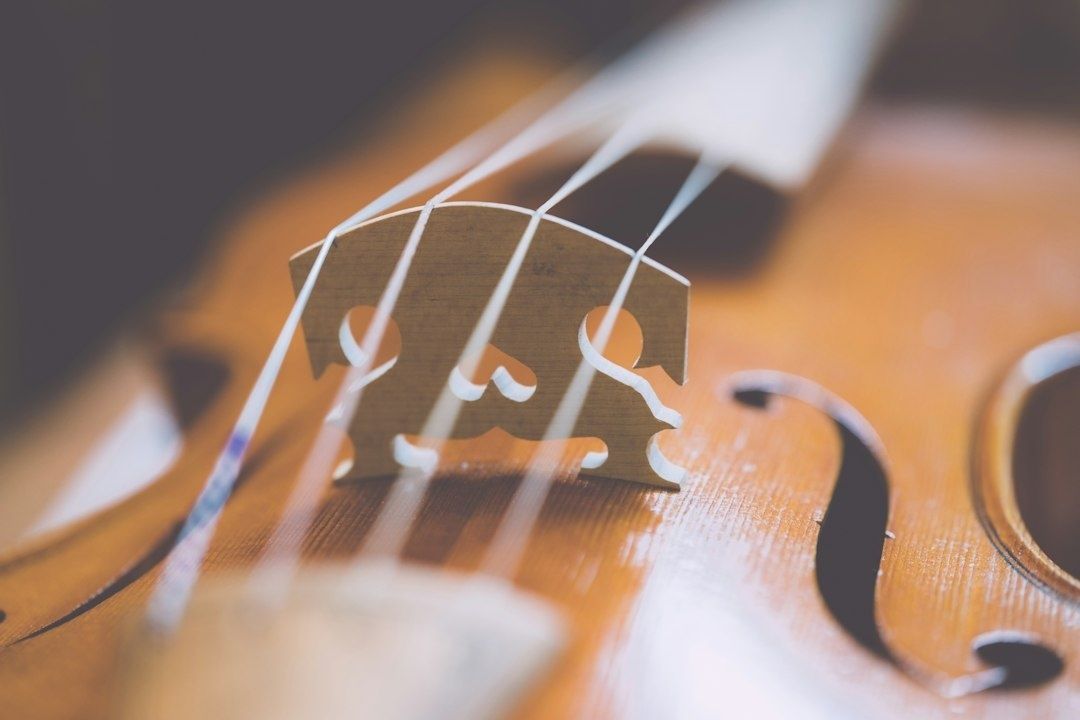 Nahaufnahme einer Violine mit Steg und hellen Saiten
