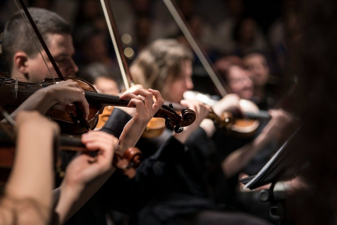 Streicher eines Orchesters spielen gemeinsam auf ihren Violinen
